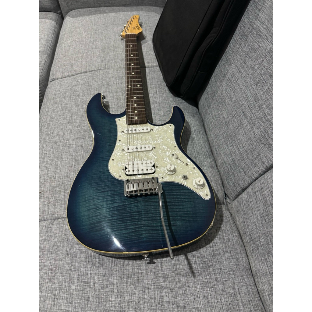 Gitar elektric FGN Standard Made in japan 2018