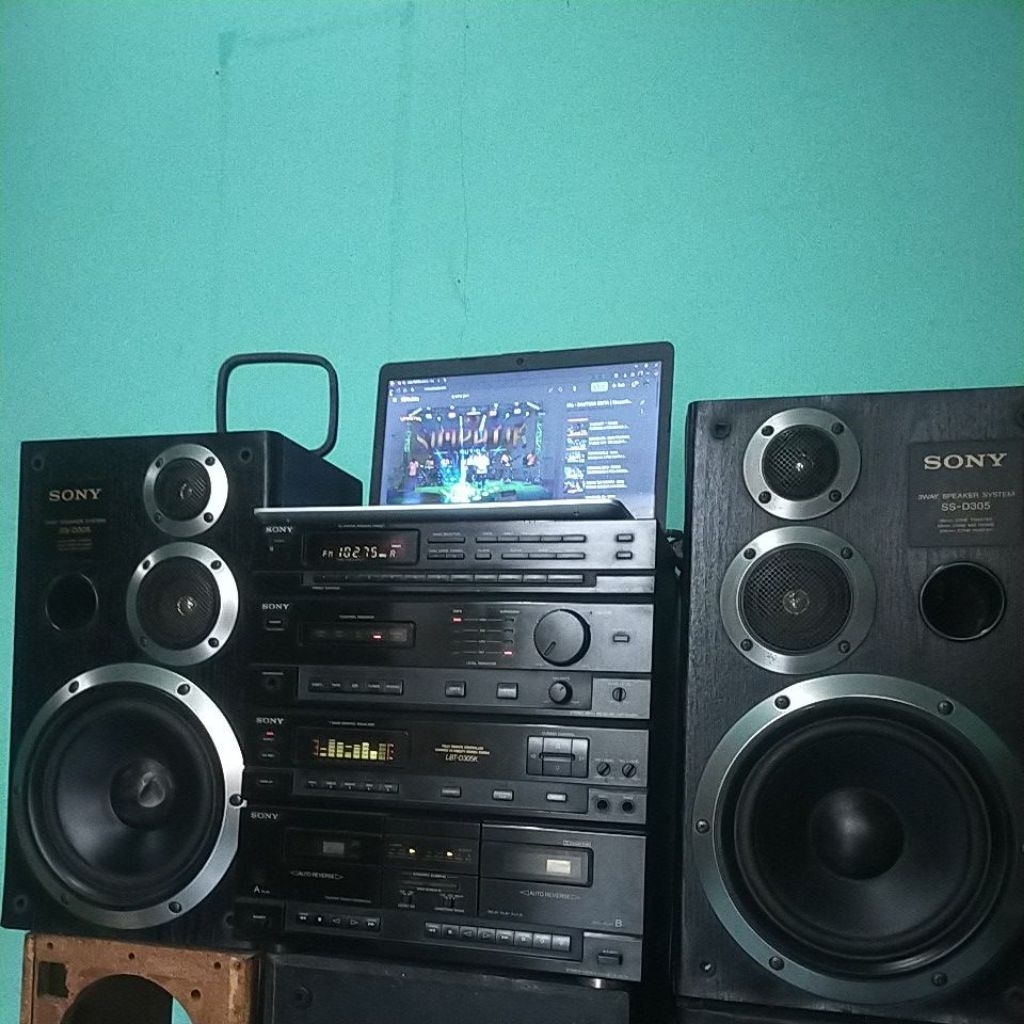 Big Compo Sony LBT-D305K