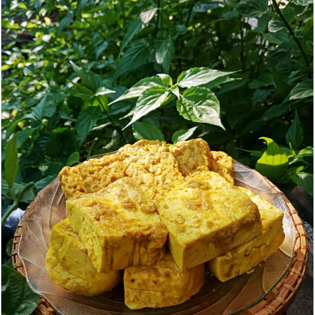 

Tahu Tempe Ungkep 10 Potong Fresh Frozen