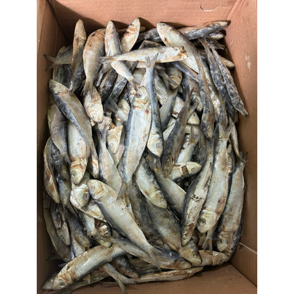 

Ikan Asin Tembang Sisik Kaca 250gr