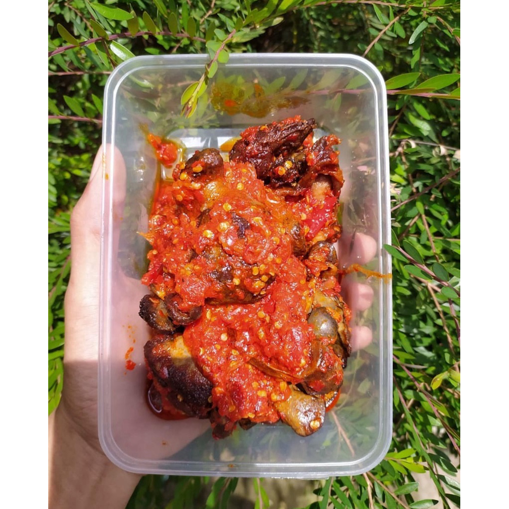 

Ati Ampela Balado 400gr Fresh Frozen