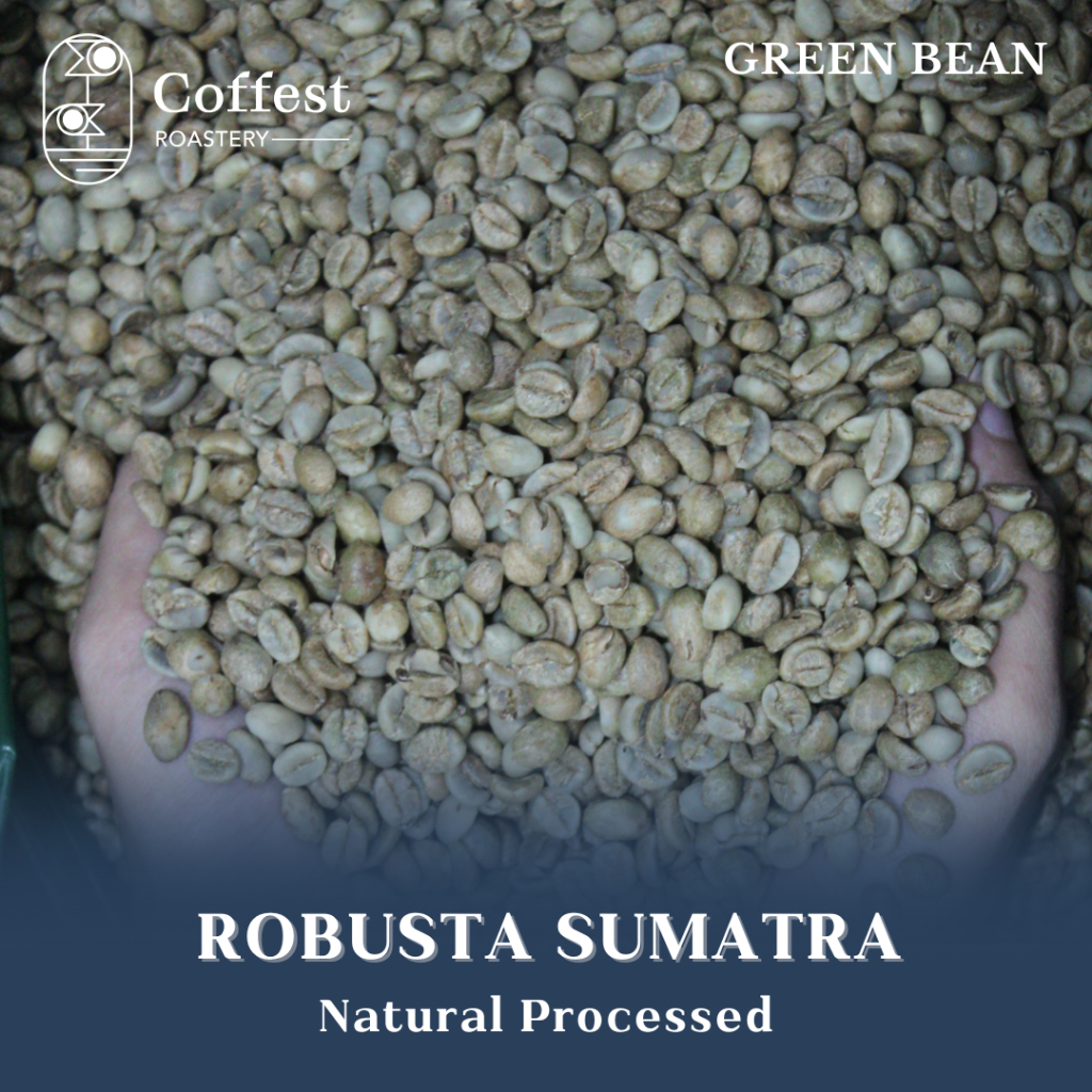 

Green Bean Robusta Sumatra - Fine Grade - Biji Besar - Natural Processed - 1kg