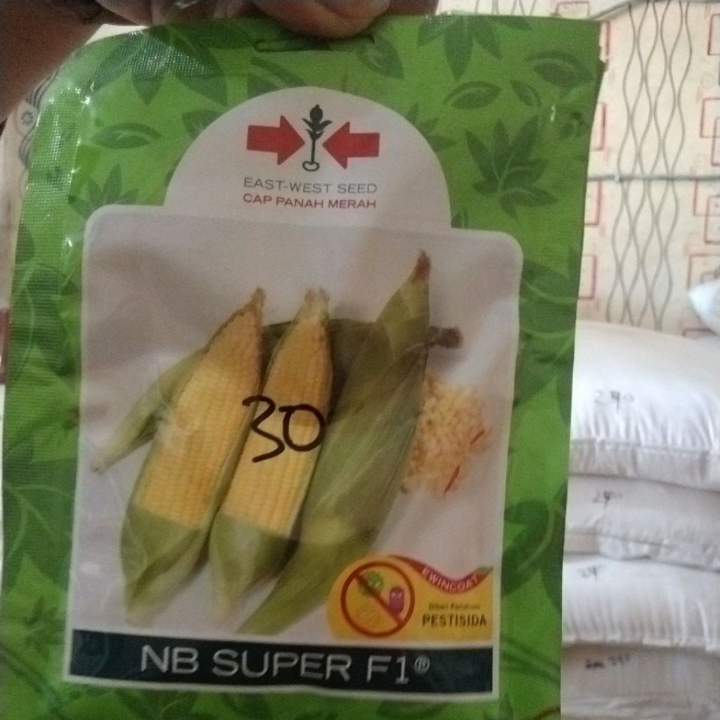 

bibit jagung manis 200 butir