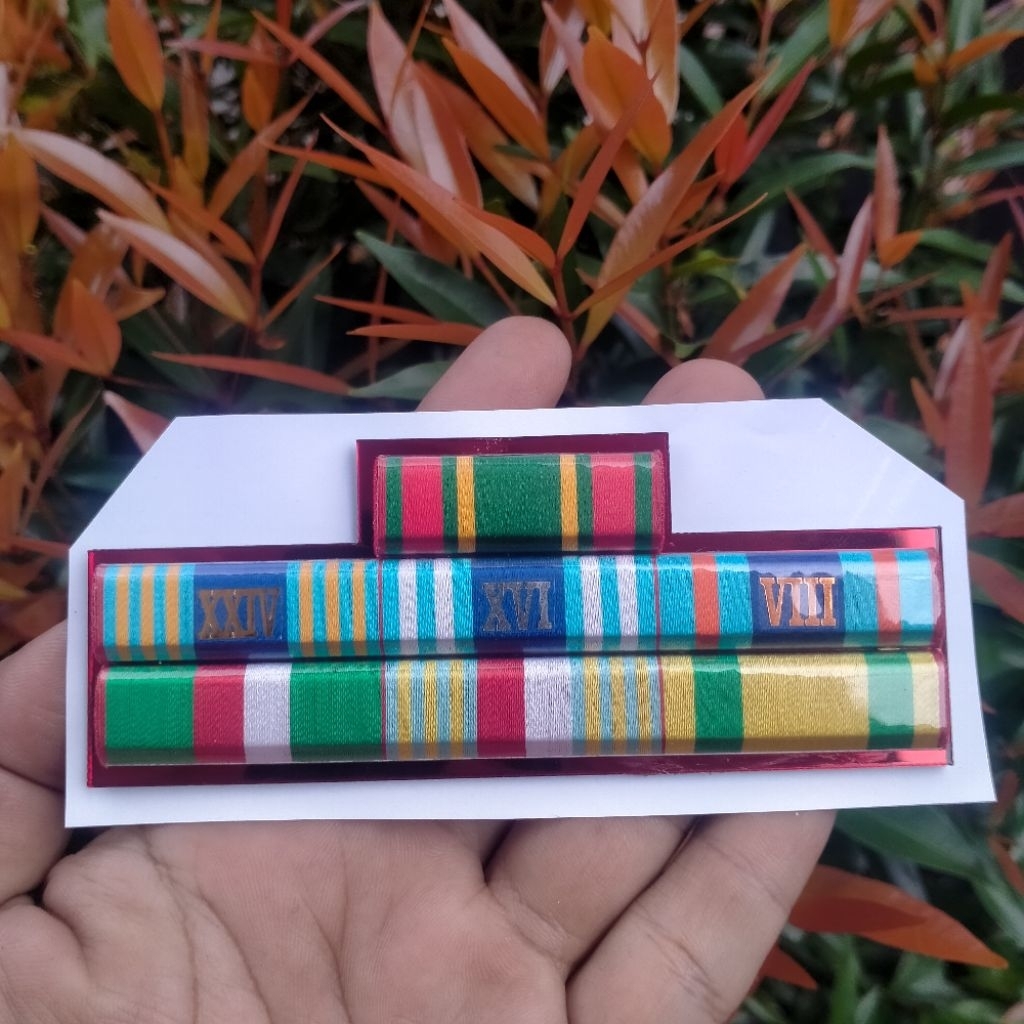 

pita jasa tni AD 8 16 24 nararia darmanusa wiradarma dwijasista