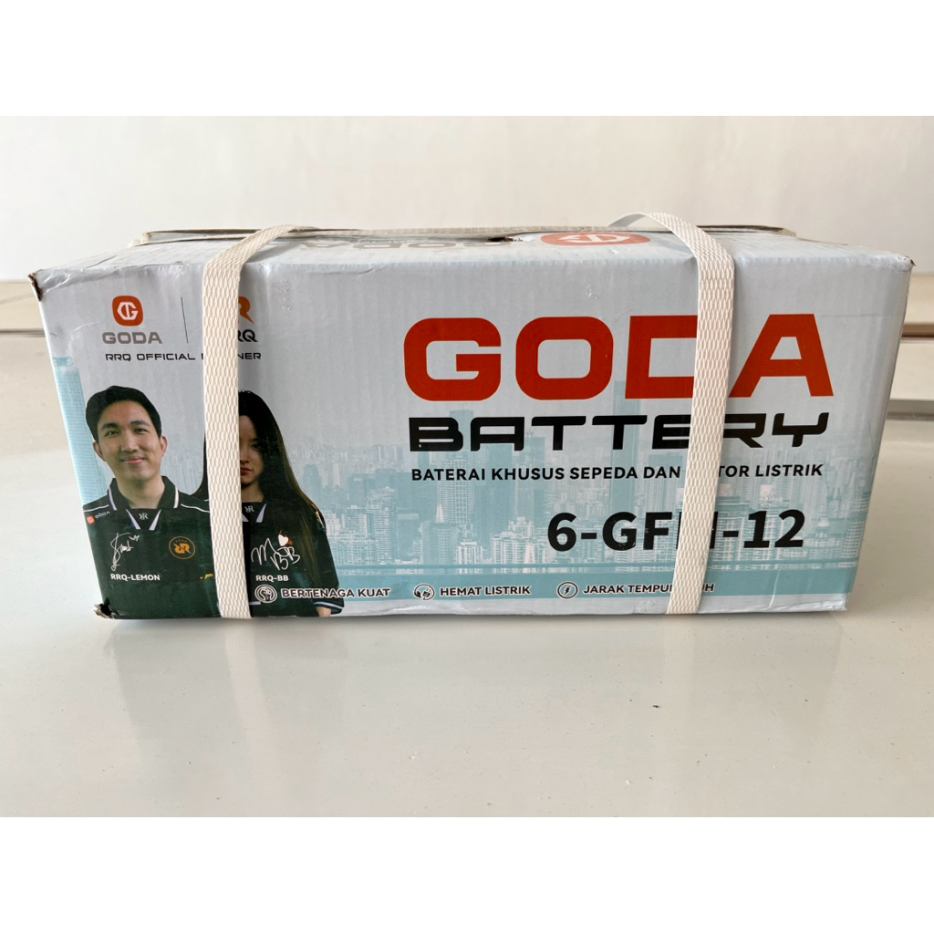 AKI SEPEDA LISTRIK GODA 48V 12AH