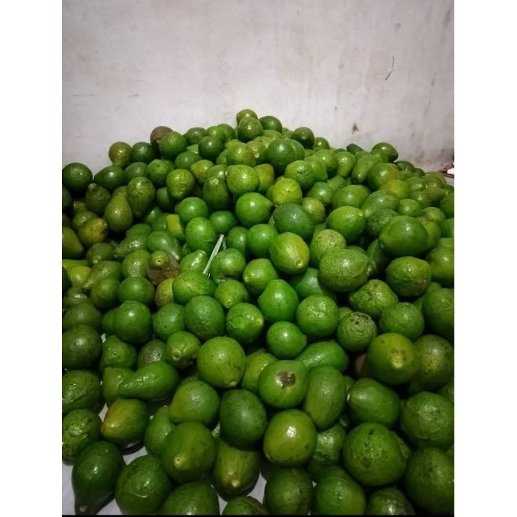 

ALPUKAT Mentega 1kg Lampung timur