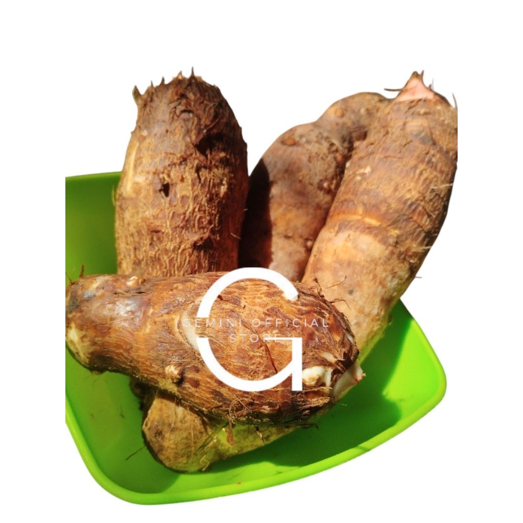 

umbi talas pulen Bogor Enak isi 1000 gram / 1 kg sayur segar enak