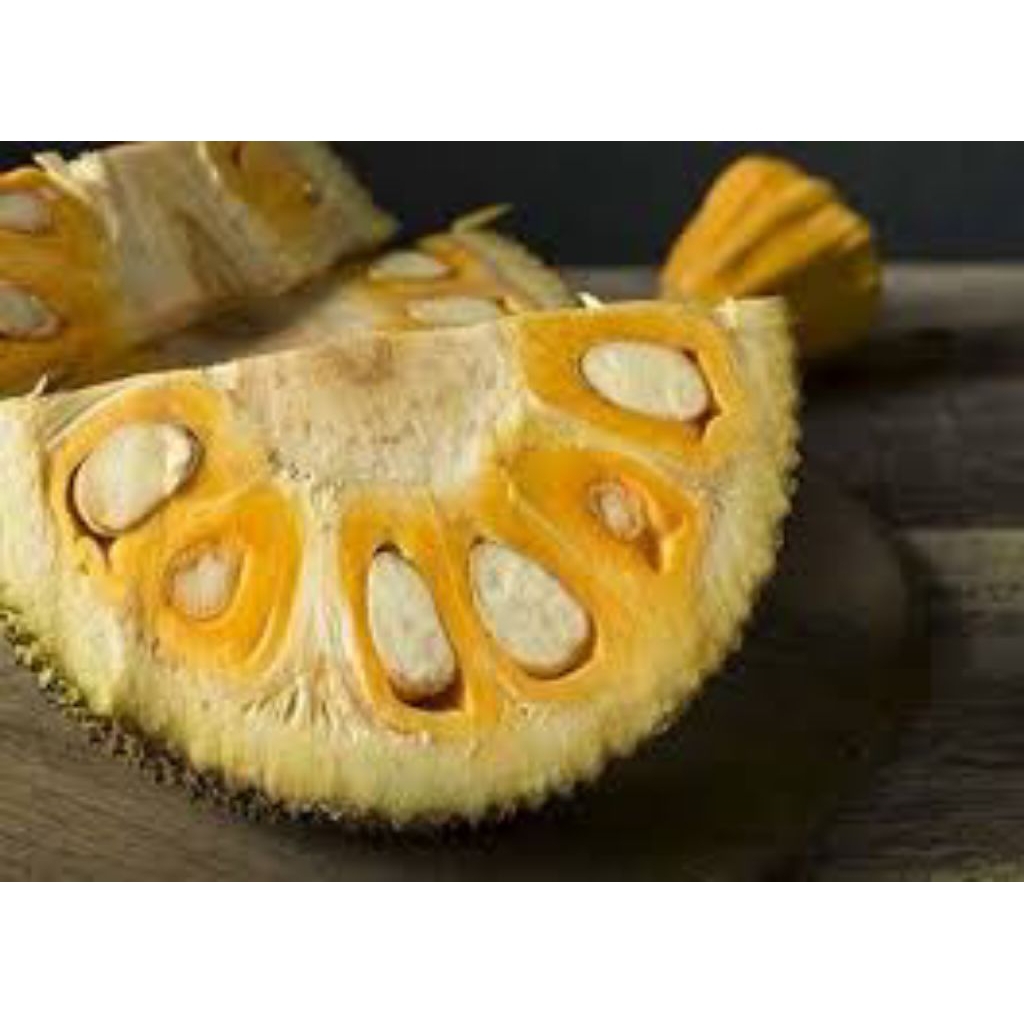 

nangka madu buah segar dan higenis
