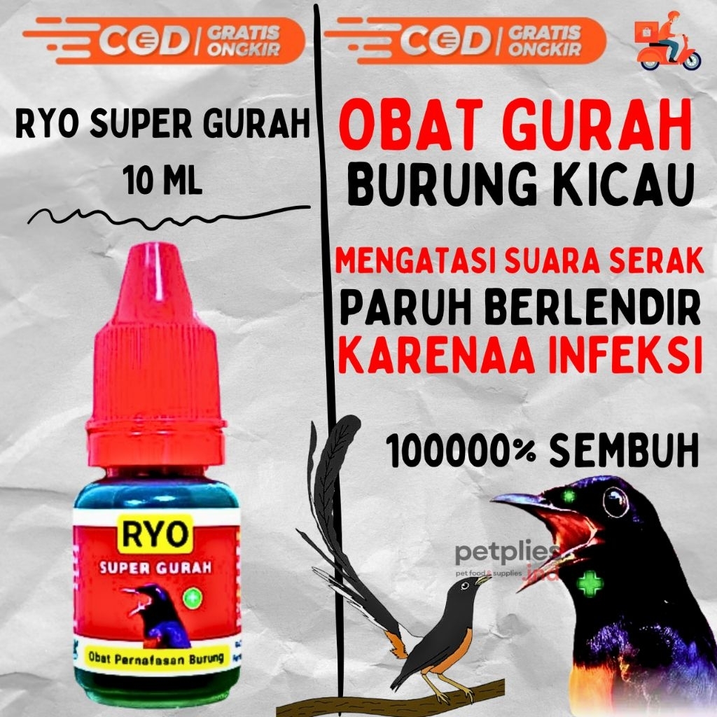 RYO SUPER GURAH Obat Burung Serak Infeksi Saluran Pernafasan obat gurah burung kicau super gurah per