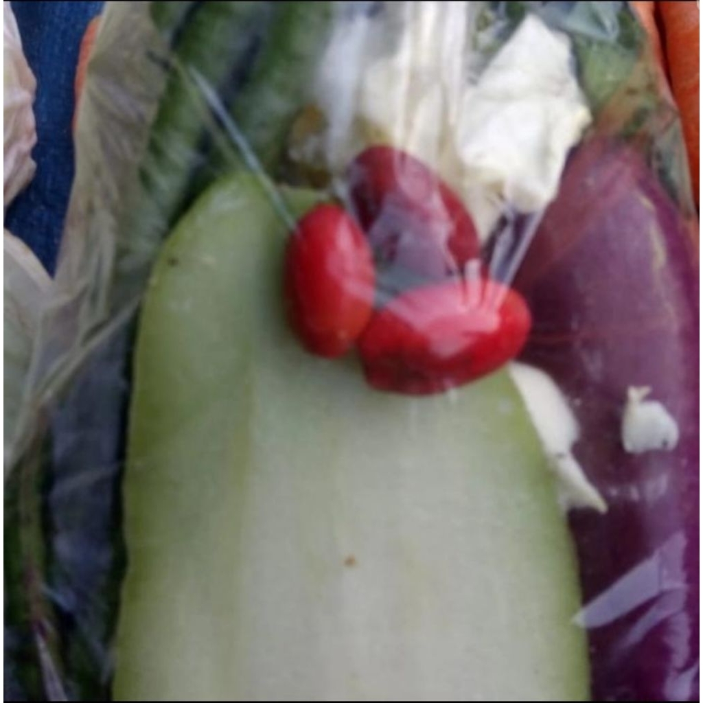 

Sayur asem/lodeh