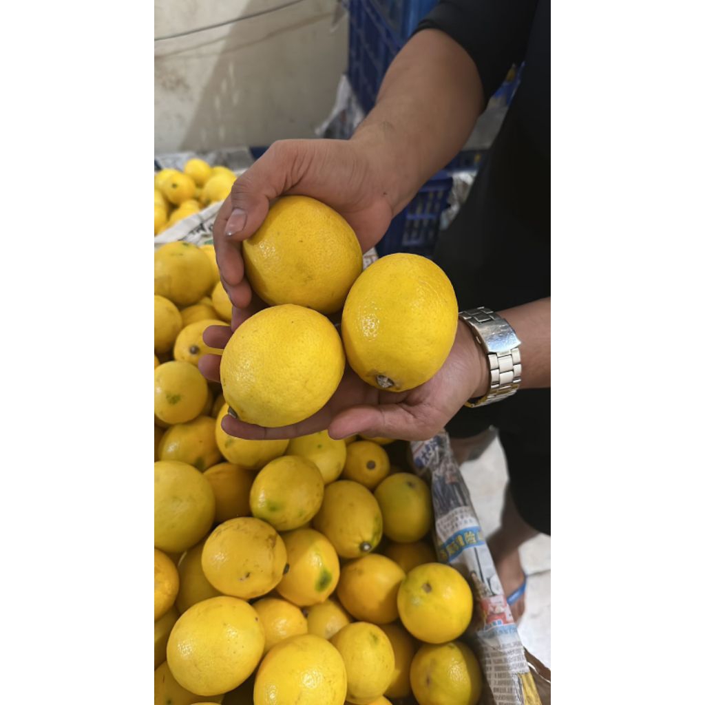 Lemon California 1kg