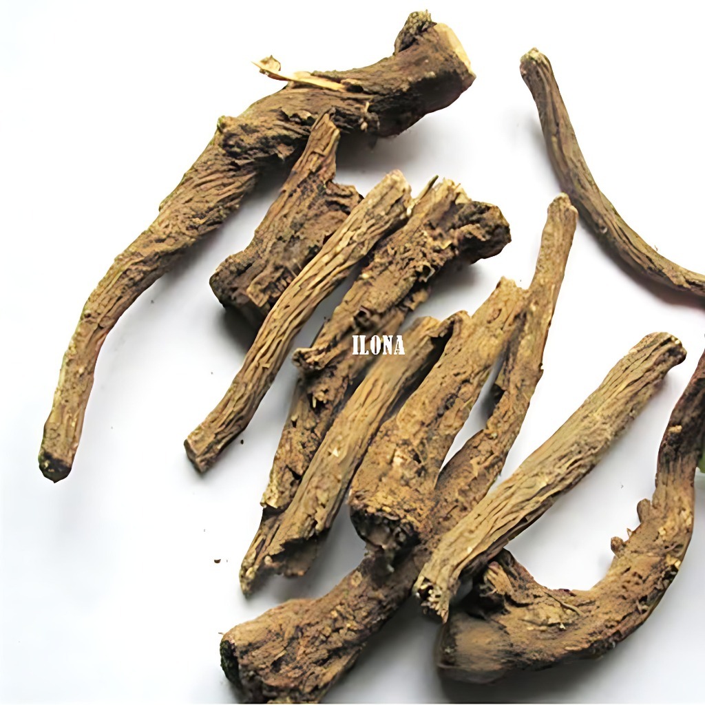 

PUCUK SAUSSUREA COSTUS 250GR HERBAL TRADISIONAL