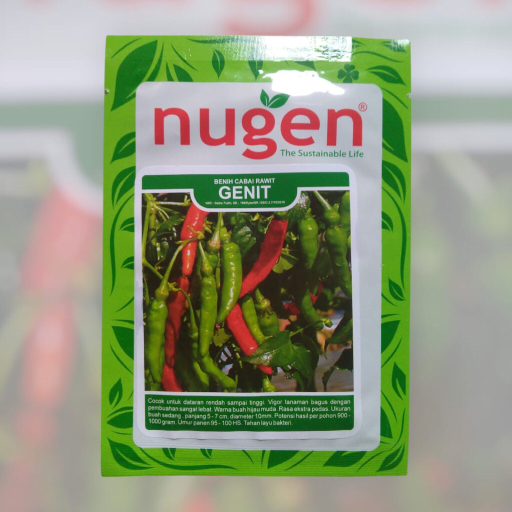 Benih Cabe Rawit Genit 10gram - Bibit Cabai Rawit Hijau Merunduk @Cap Nugen Asli