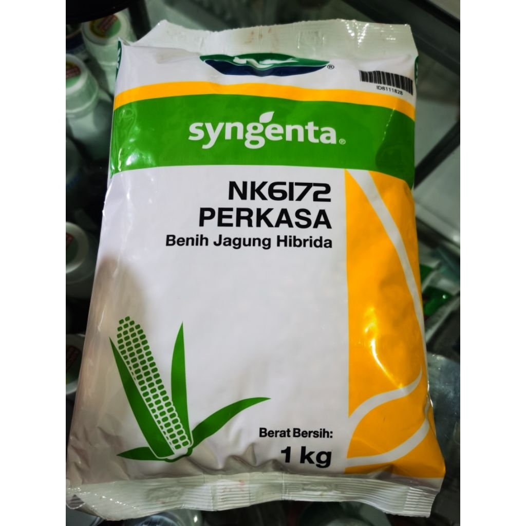 

BENIH JAGUNG PERKASA 62172