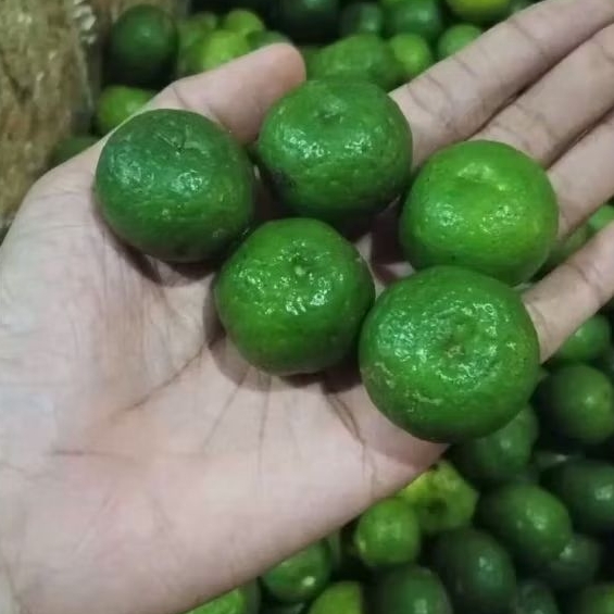 

2pcs jeruk limau jeruk sambal - surabaya