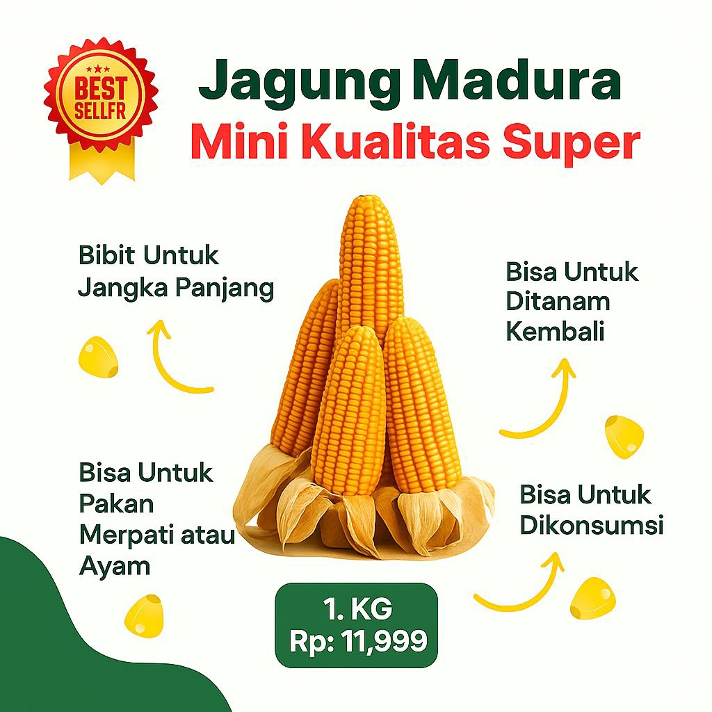 

Jagung Kristal Madura Mini Kualitas Super, Untuk Bibit | Pakan Burung | Pakan Ayam