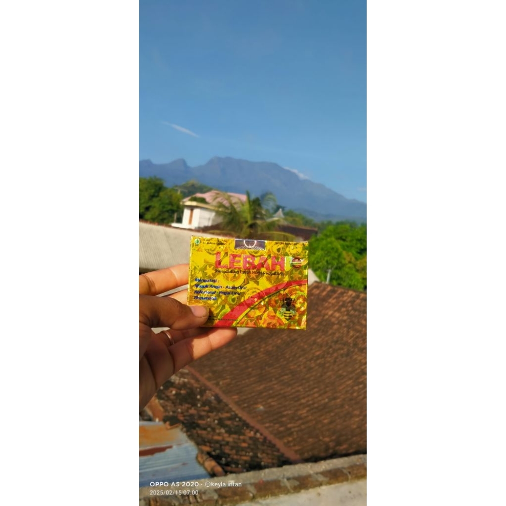 

lebah kapsul original