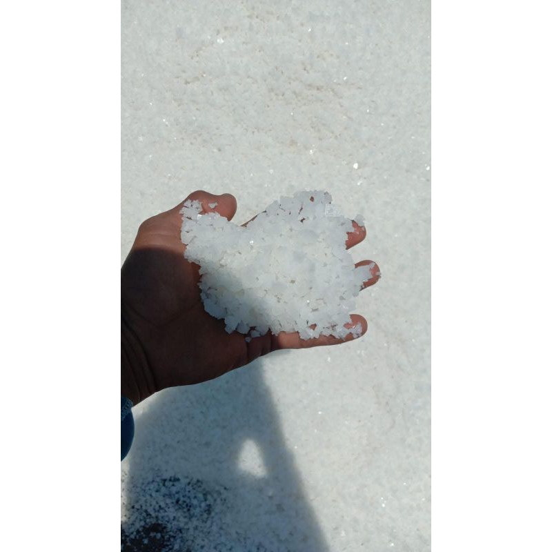 

garam grosok premium garam grosok murni garam grosok Madura garam grosok sapi garam grosok laut garam grosok murah garam grosok 1kg garam grosok Uyah garam kasar