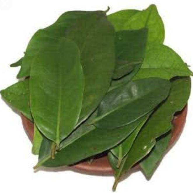 

daun salam 1 ranting