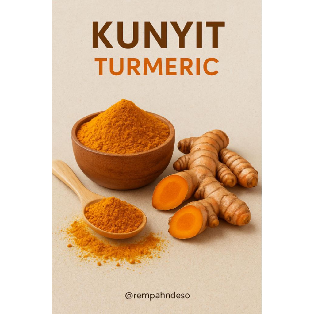 

Kunyit Kuning Segar 1Kg Asli Murah | Rempah Herbal Alami Obat Tradisional & Antioksidan Tubuh