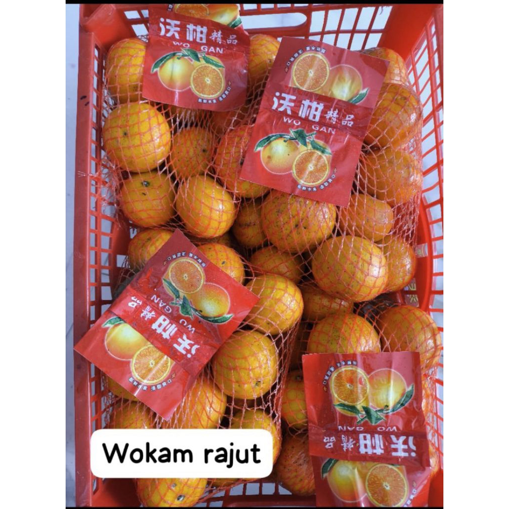 

jeruk wokam rajut khusus semarang