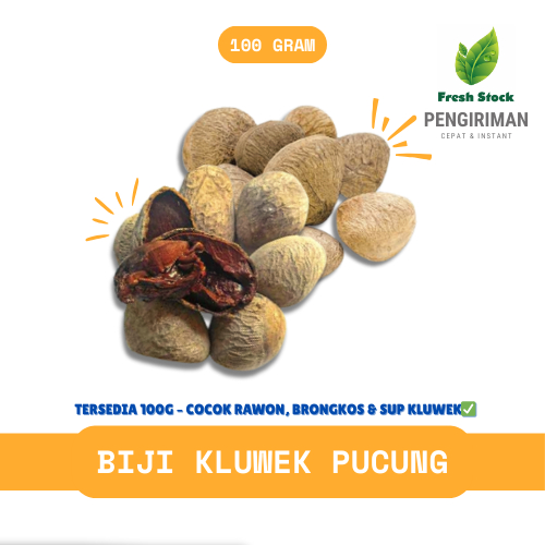 

BIJI KLUWEK / KLUWAK / PUCUNG | FreshStock