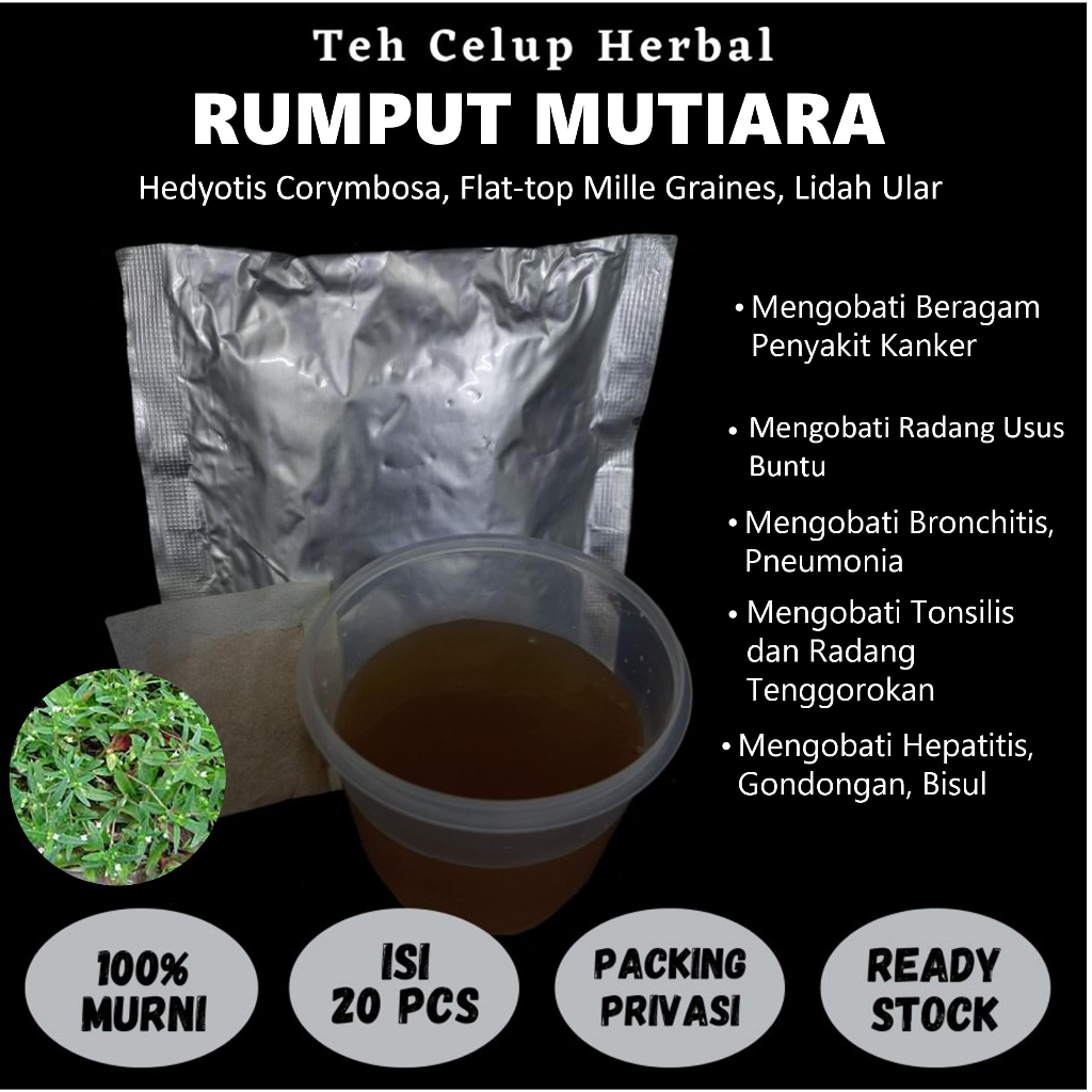 

Teh Celup Herbal RUMPUT MUTIARA Mengobati Kanker Radang Usus hepatitis Bronkitis GondonganTonsilis