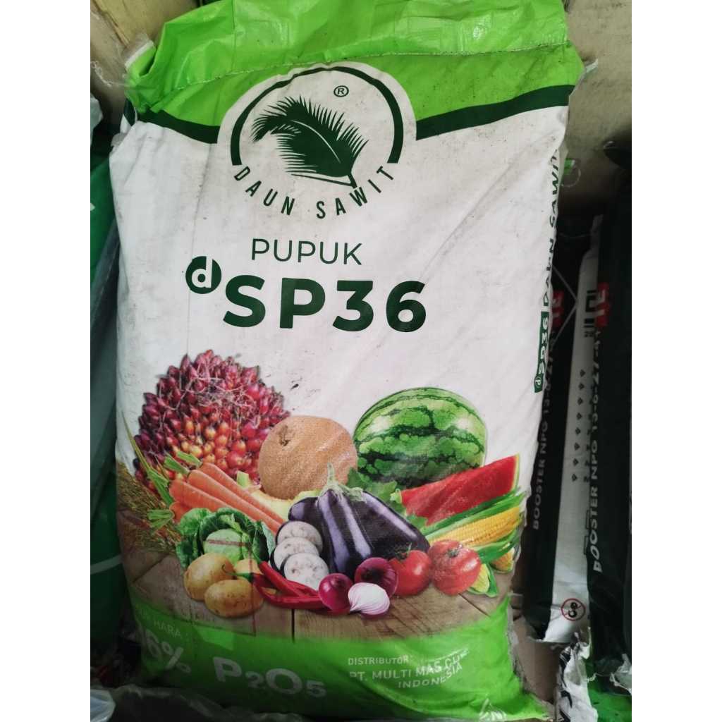PUPUK SP 36 50KG DAUN SAWIT