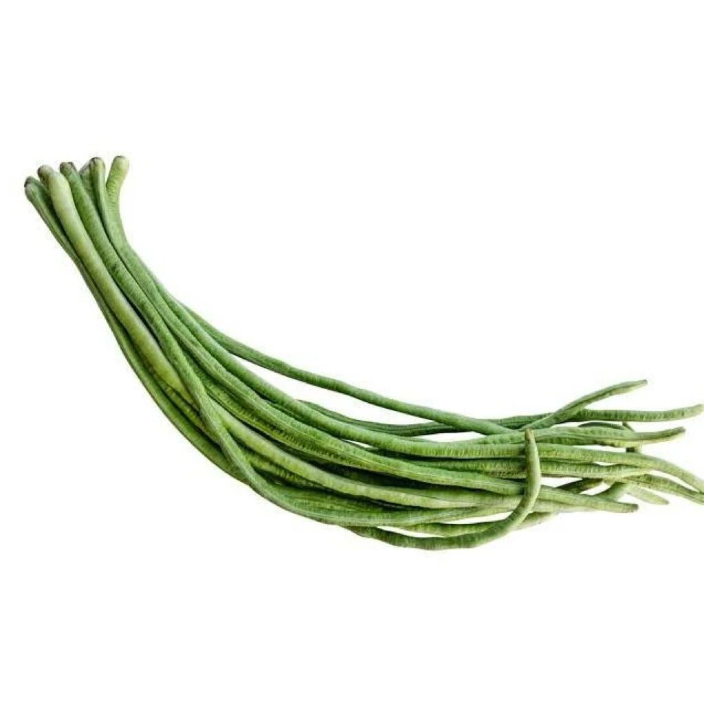 

Kacang panjang