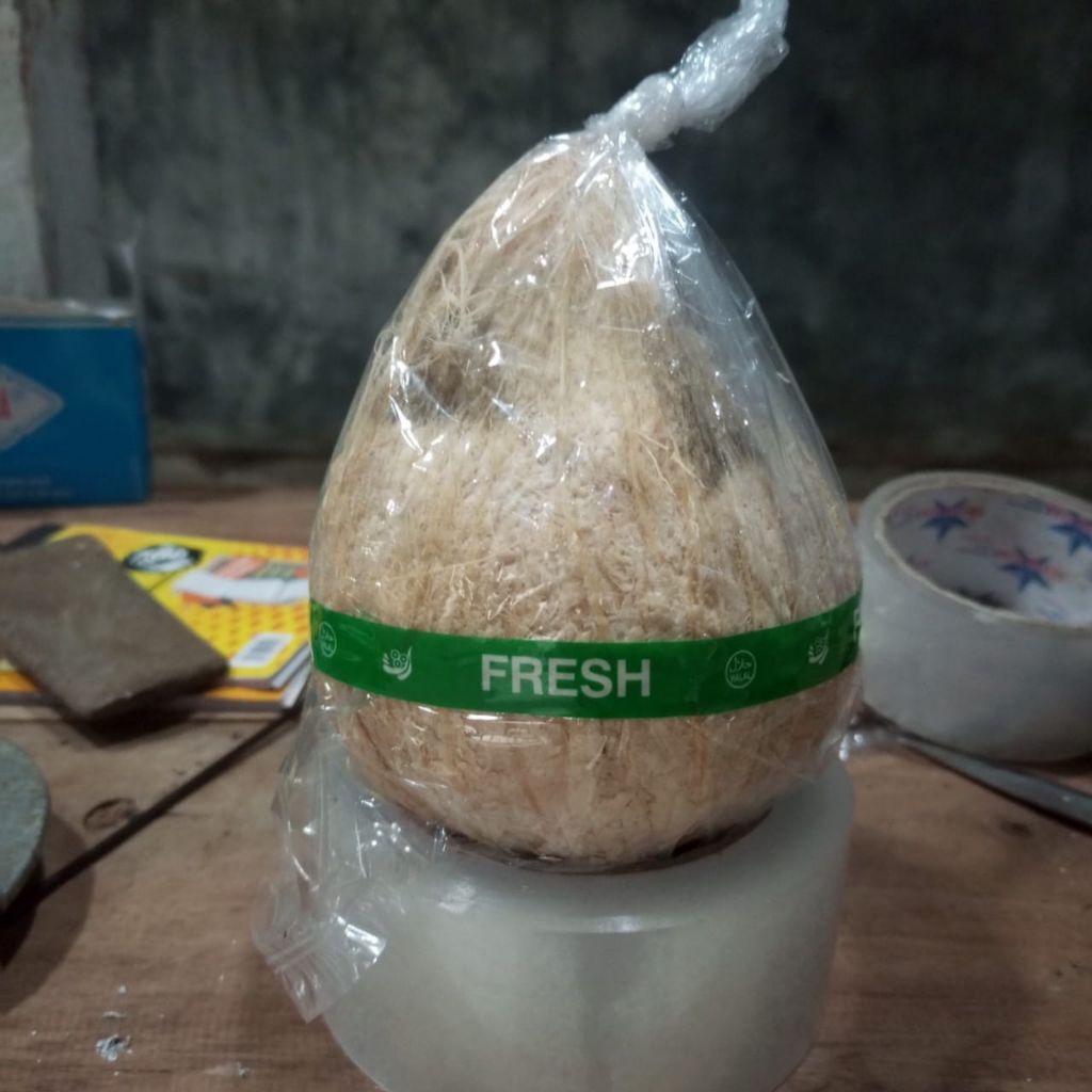 

kopyor kecil kupas,110, isi 3 butir