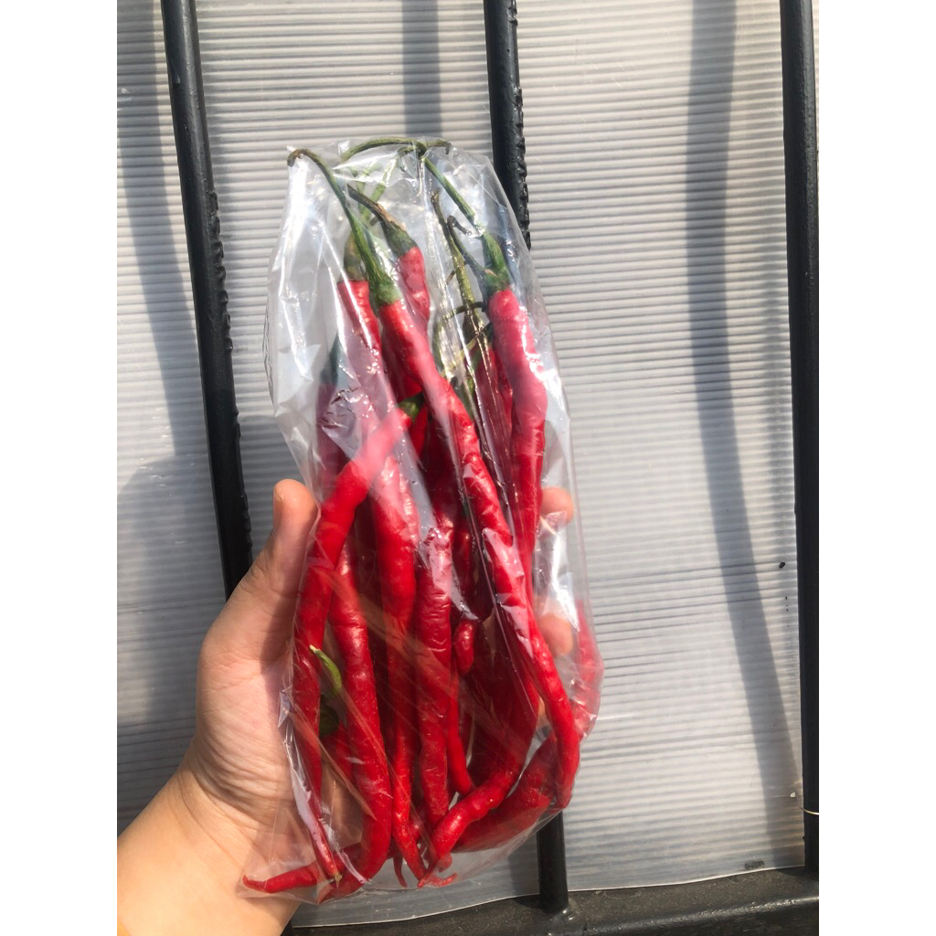 

PAKET CABE MERAH KERITING 5000