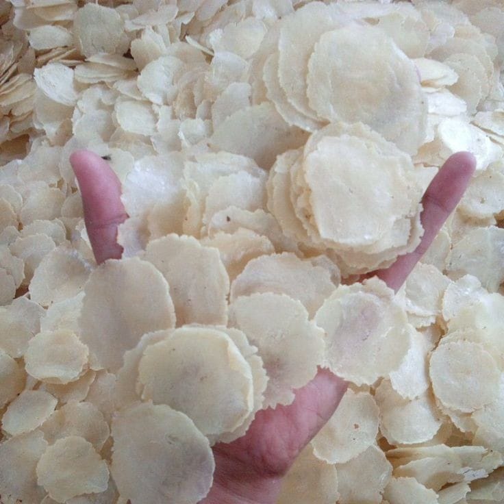 

EMPING MELINJO KECIL 1KG | EMPING SUPER ASLI KEBUMEN