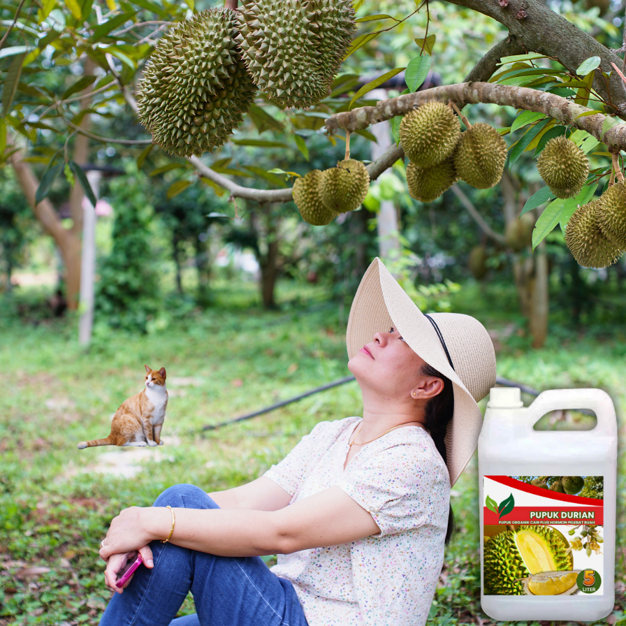Teh_Teh Maniez 5L-Pupuk Organik Cair Durian Cepat Berbuah Lebat Tidak Rontok Bunga Booster Durian