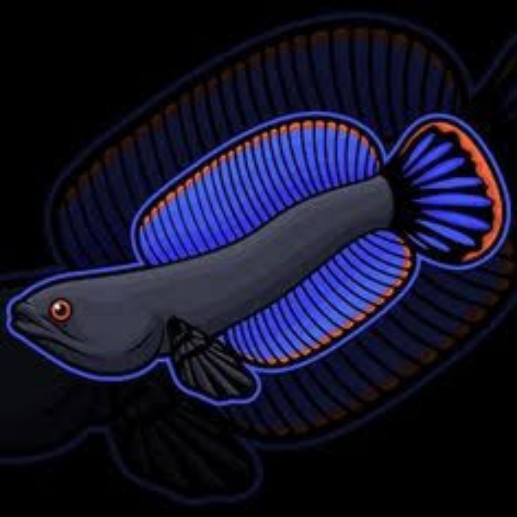 

stiker channa andrao 4-6 cm
