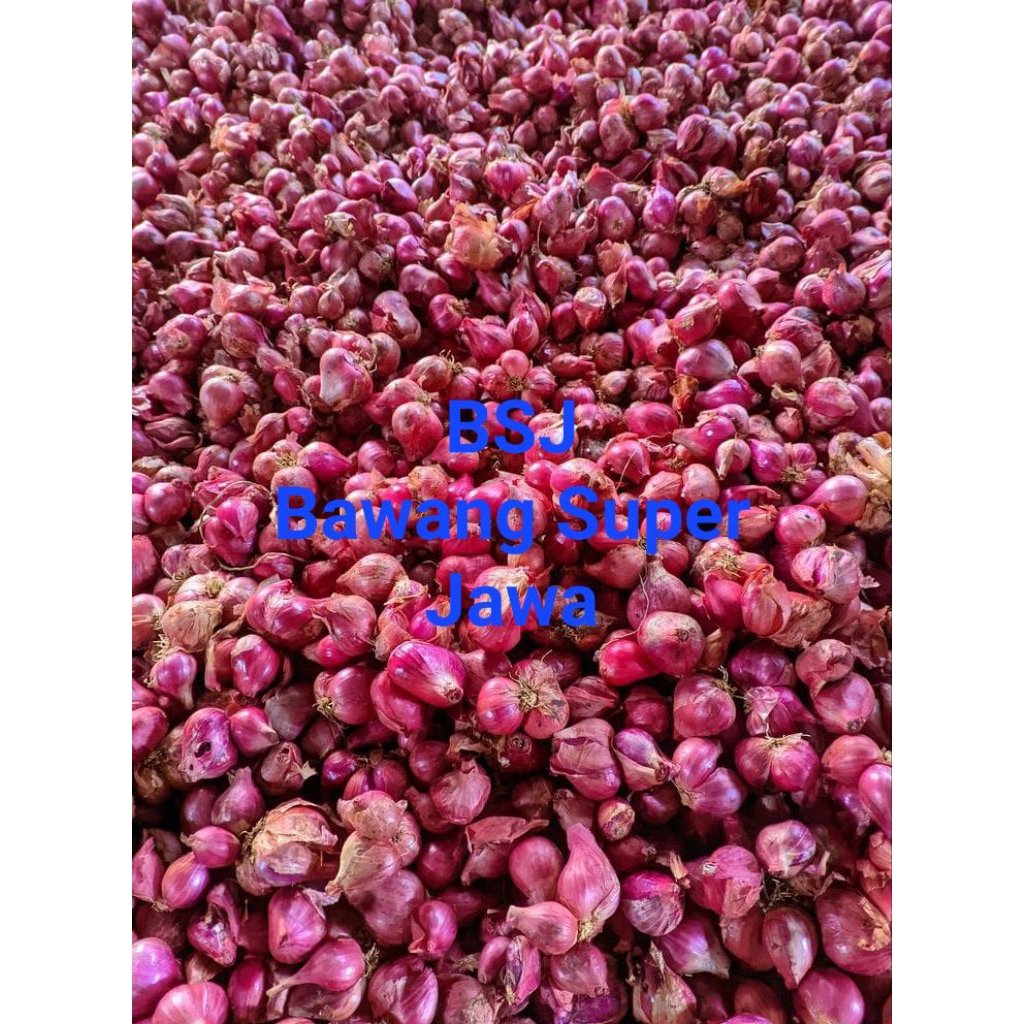 

Bawang Merah Super Asli Jawa Termurah Terlaris 500g