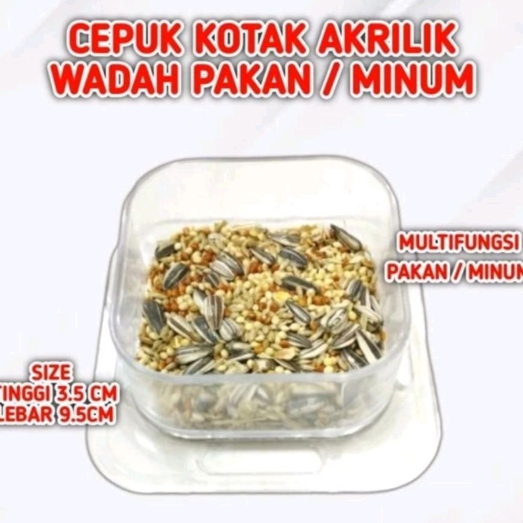 CEPUK KOTAK AKRILIK WADAH PAKAN MINUM BURUNG
