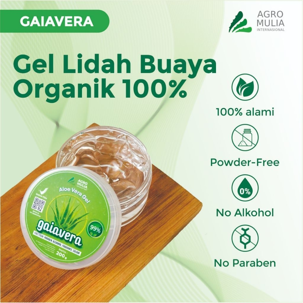 Gel Lidah Buaya Asli Halal BPOM Untuk Wajah dan Rambut 100% Aloe Vera Organik- Asli dari Pelepah Lid