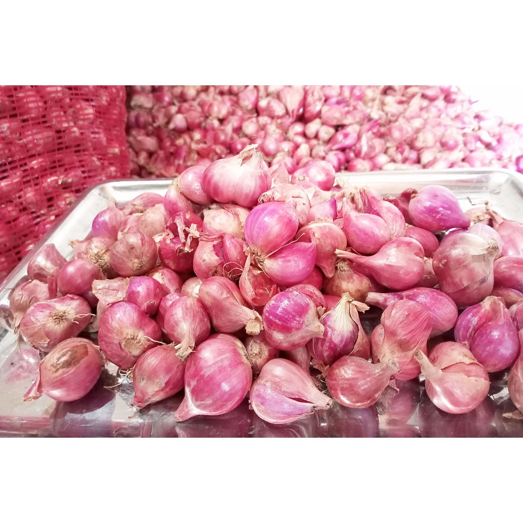

Bawang Merah Brebes ukuran Campur 1/4 kg