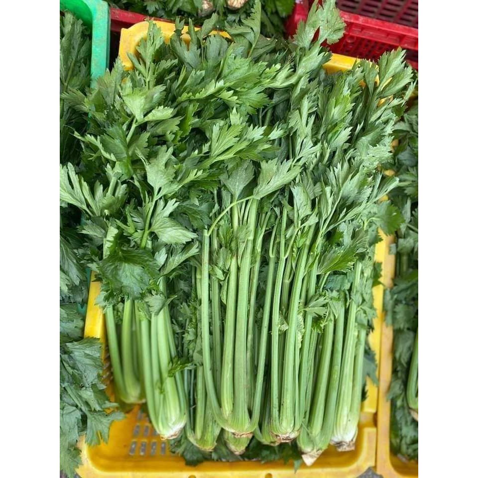 

Seledri Fresh Pengiriman Instant @250gr @500gr