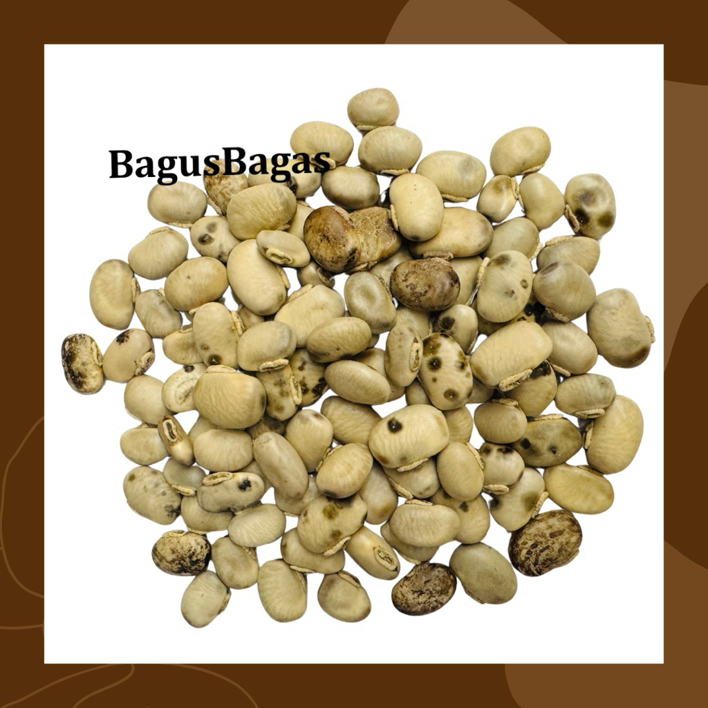 

100gr Kacang Kara Benguk Koro Pedang Abu Abu Bahan Tempe Tradisional khas Kulon Progo Jogja