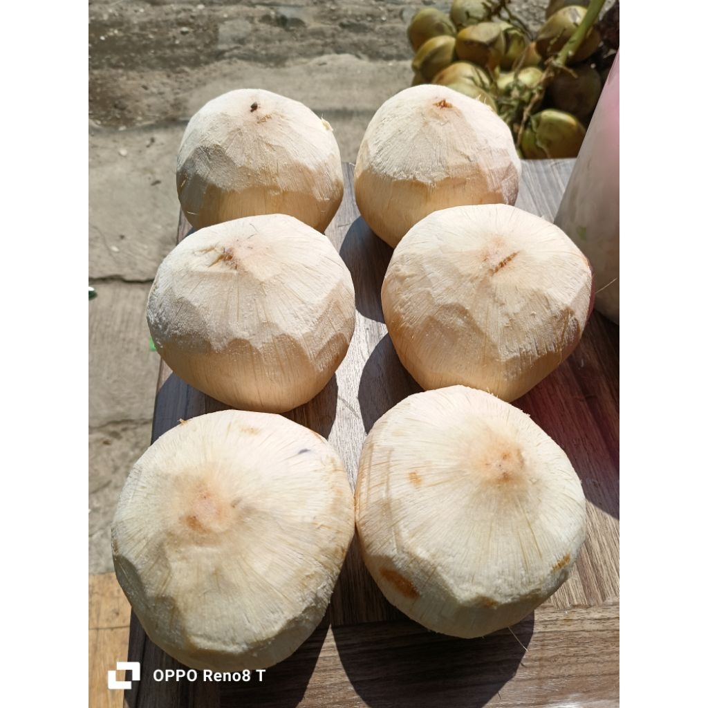 

kelapa kupas bersih