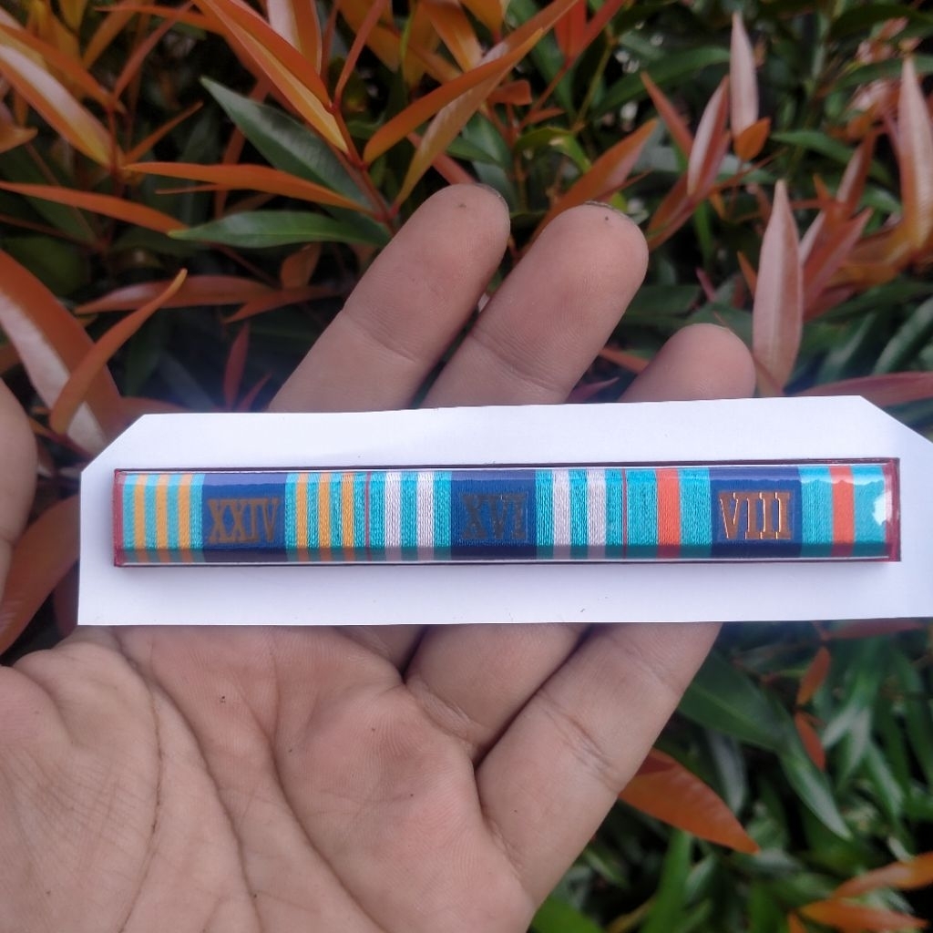 

pita jasa pdh tni ad 8 16 24
