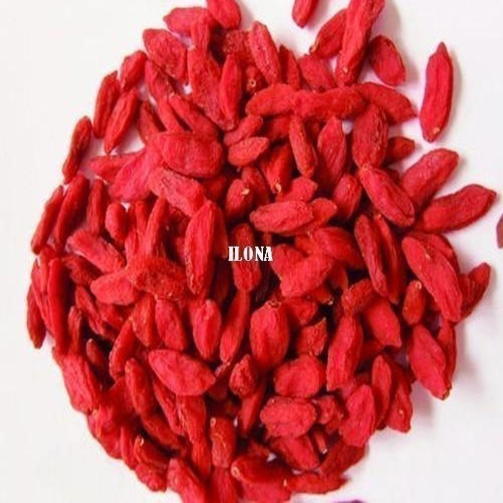 

BUAH GOJI BERRY / GOJI BERI / GOJIBERI KERING PREMIUM ORGANIK 100GR