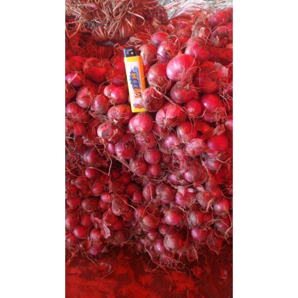

Bawang Merah Sedang 500gr Fresh Kering