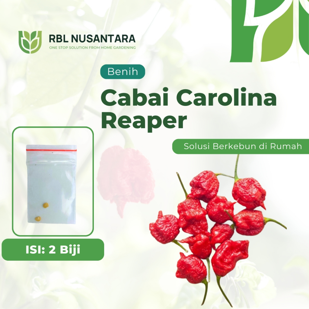 RBLN - 2 Benih Cabai Carolina Reaper