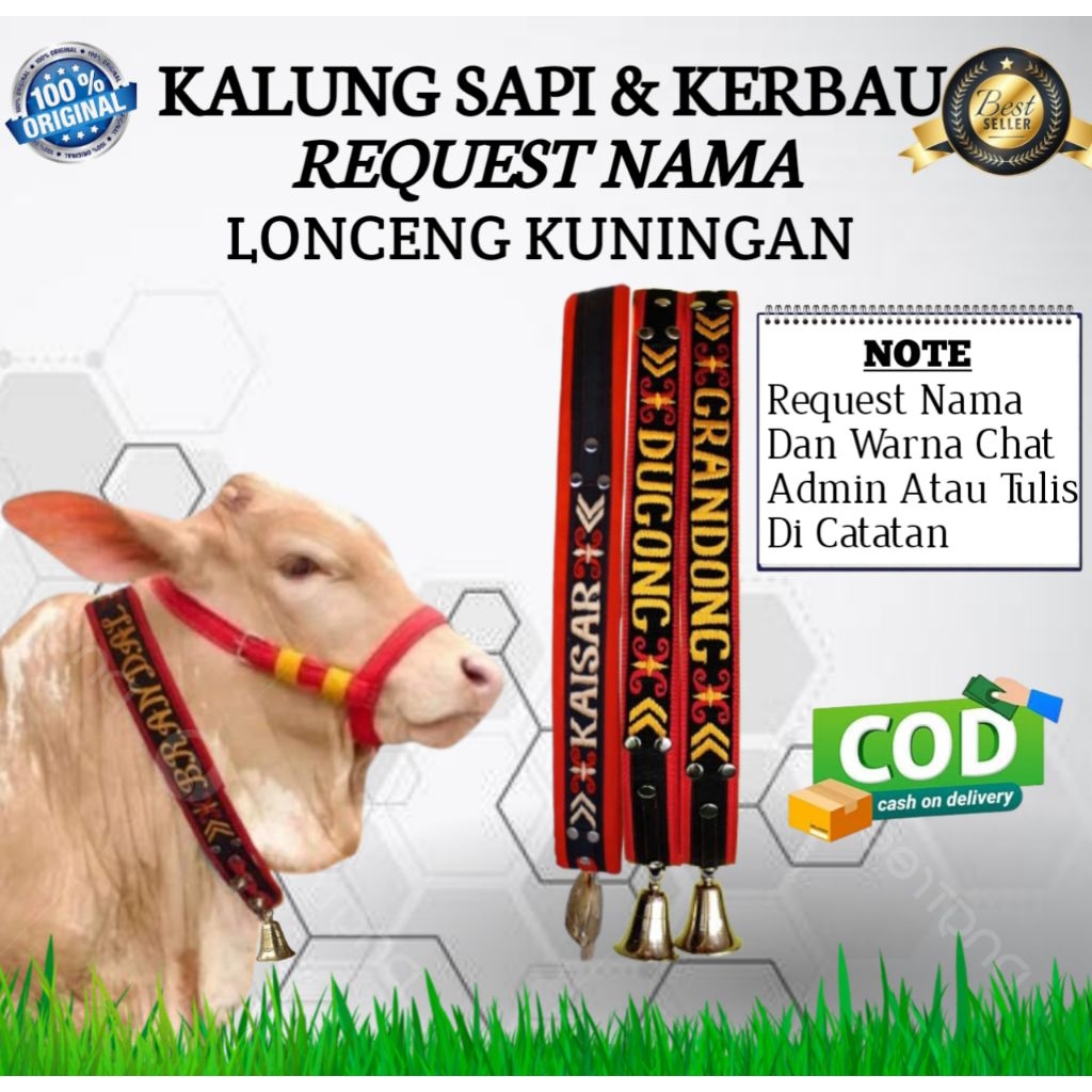 KALUNG SAPI REQUEST NAMA BERBAHAN TEBAL DAN BERKUALITAS PLUS LONCENG KUNINGAN