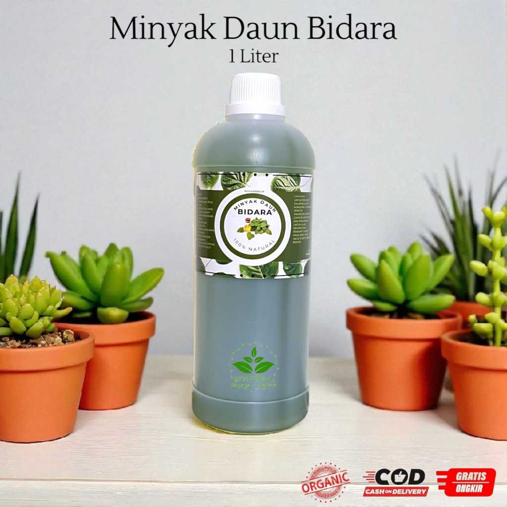 

Minyak Daun Bidara Murni 1 Liter - Untuk Diabetes Kanker Kolestrol