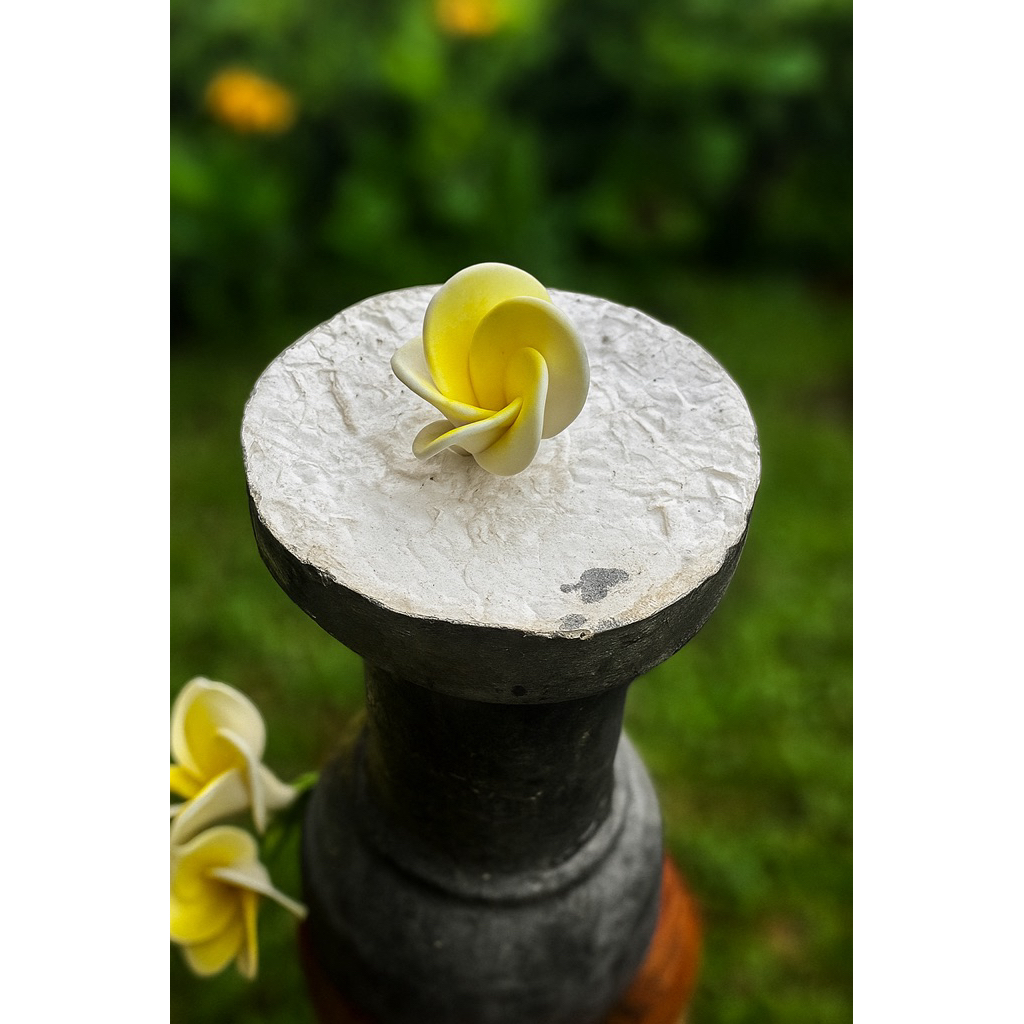 

TERLARIS Gumpaste hiasan kue bunga kamboja isi 6