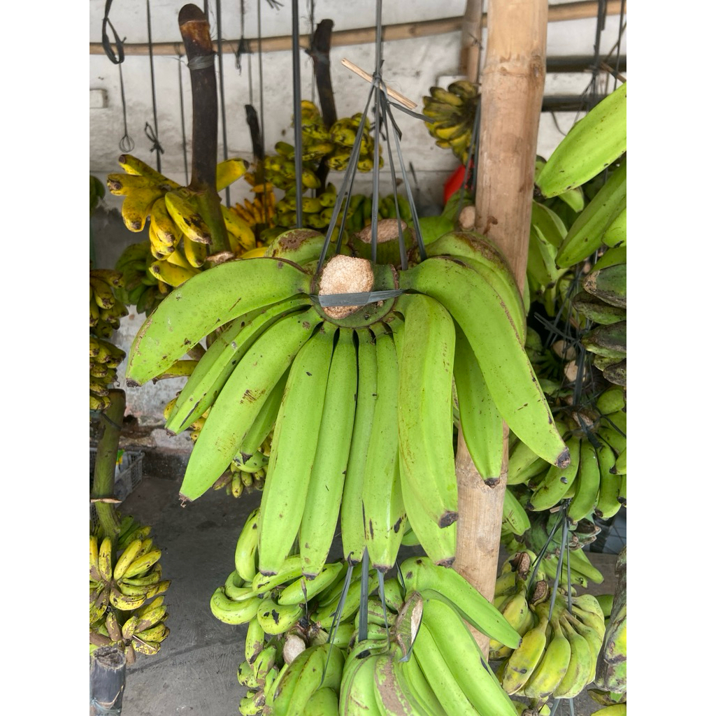 

Pisang Ambon