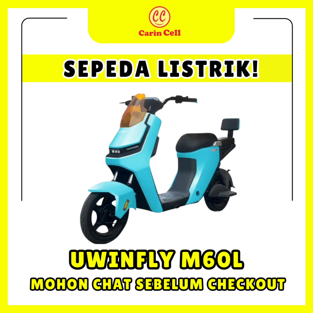 UWINFLY M60L ADV LITH 600W 48V 12AH